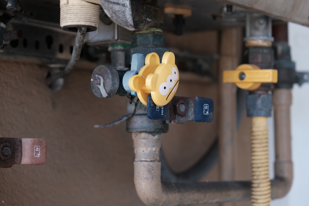 Photo sump pump repair